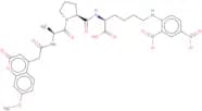 Mca-Ala-Pro-Lys(Dnp)-OH trifluoroacetate salt