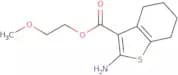 2-Methoxyethyl 2-amino-4,5,6,7-tetrahydro-1-benzothiophene-3-carboxylate