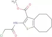 Methyl 2-[(chloroacetyl)amino]-4,5,6,7,8,9-hexahydrocycloocta[b]thiophene-3-carboxylate