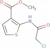 Methyl 2-[(chloroacetyl)amino]thiophene-3-carboxylate
