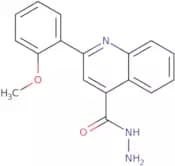 2-(2-Methoxyphenyl)quinoline-4-carbohydrazide