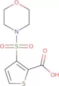 3-(Morpholin-4-ylsulfonyl)thiophene-2-carboxylic acid