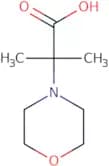 2-Methyl-2-morpholin-4-ylpropanoate hydrochloride