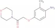 [2-Methyl-4-(2-morpholin-4-yl-2-oxoethoxy)phenyl]amine