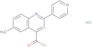 6-Methyl-2-pyridin-4-ylquinoline-4-carbonyl chloride hydrochloride