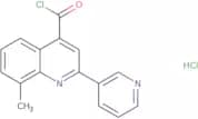 8-Methyl-2-pyridin-3-ylquinoline-4-carbonyl chloride hydrochloride