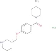 4-Methyl-1-[4-(piperidin-3-ylmethoxy)benzoyl]piperidine hydrochloride