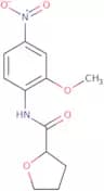 N-(2-Methoxy-4-nitrophenyl)tetrahydrofuran-2-carboxamide