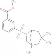 Methyl 3-[(1,3,3-trimethyl-6-azabicyclo[3.2.1]oct-6-yl)sulfonyl]benzoate