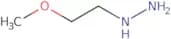 (2-Methoxyethyl)hydrazine
