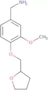 [3-Methoxy-4-(tetrahydrofuran-2-ylmethoxy)benzyl]amine