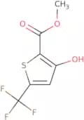 Methyl 3-hydroxy-5-trifluoromethylthiophene-2-carboxylate