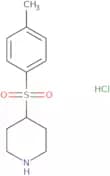 4-[(4-Methylphenyl)sulfonyl]piperidineHydrochloride