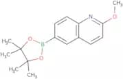 2-Methoxyquinoline-6-boronic acid, pinacol ester
