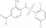 N-(2-Methyl-4-nitrophenyl)-2,5-dichlorobenzenesulfonamide