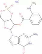 2'-(N-Methylanthraniloyl)guanosine 3',5'-cyclicmonophosphate sodium salt