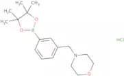 3-[(Morpholino)methyl]phenylboronic acid pinacol ester hydrochloride