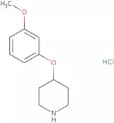 4-(3-Methoxyphenoxy)Piperidine Hydrochloride