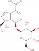 Monotropein
