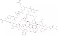 Melanin concentrating hormone