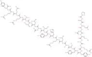 Neuropeptide Y (13-36) (human, rat) trifluoroacetate salt