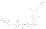 6-(7-Nitro-benzo[2,1,3]oxadiazol-4-ylamino)-hexanoyl-Arg-Pro-Lys-Pro-Leu-Ala-Nva-Trp-Lys((7-dimeth…