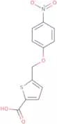 5-[(4-Nitrophenoxy)methyl]thiophene-2-carboxylic acid