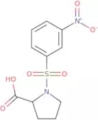1-[(3-Nitrophenyl)sulfonyl]proline