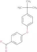 4-Nitro-4'-t-butyl diphenylether