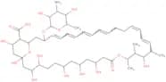 iso-Nystatin