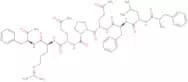 Neuropeptide FF F-8-F-NH2