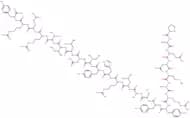Neuropeptide Y (13-36), human