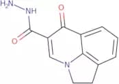 6-Oxo-1,2-dihydro-6H-pyrrolo[3,2,1-ij]quinoline-5-carbohydrazide