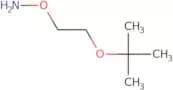 O-(2-tert-butoxyethyl)hydroxylaMine