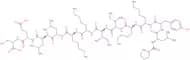 Platelet Factor 4 (58-70) (human)