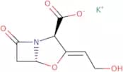 Potassium clavulanate