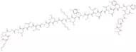 Procathepsin B (26-50) (rat)