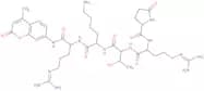 Pyr-Arg-Thr-Lys-Arg-AMC trifluoroacetate salt