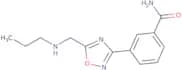 3-{5-[(Propylamino)methyl]-1,2,4-oxadiazol-3-yl}benzamide
