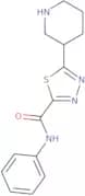 N-Phenyl-5-piperidin-3-yl-1,3,4-thiadiazole-2-carboxamide