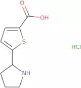 5-Pyrrolidin-2-ylthiophene-2-carboxylic acid hydrochloride