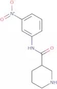Piperidine-3-carboxylic acid(3-nitro-phenyl)-amide