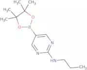 2-Propylaminopyrimidine-5-boronic acid, pinacol ester