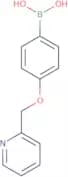 4-(Pyridin-2-ylmethoxy)phenylboronic acid