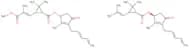 Pyrethrum - 50%