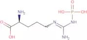 N-Phospho-L-arginine lithium salt hydrate