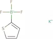 Potassium 2-thiophenetrifluoroborate