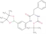 {2-Phenyl-1-[3-(4,4,5,5-tetramethyl-[1,3,2]dioxaborolan-2-yl)-phenylcarbamoyl]-ethyl}-carbamic aci…