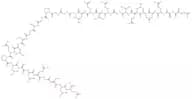 C-Peptide, human