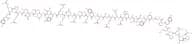 Pancreatic Polypeptide, rat